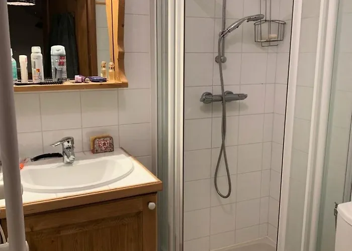 Les Alpages - 3 Pieces Pour 6 Personnes Mae-3854 La Plagne